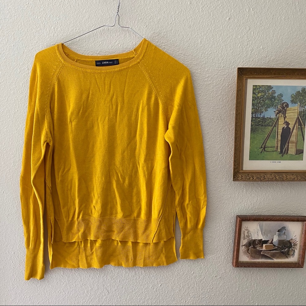 Zara hi-lo sweater